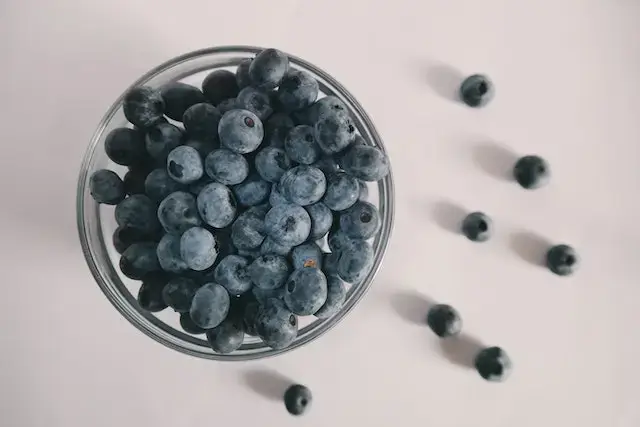 Blueberry Glycemic Index - Nutrition Facts & Health Benefits