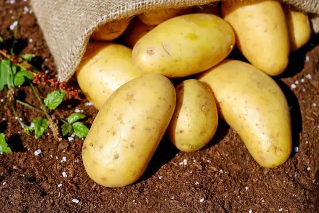 Potato Glycemic Index - Nutrition Facts & Health Benefits