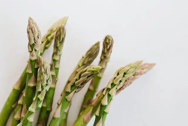 TEST DUPLICATED Asparagus Glycemic Index: Nutrition Facts, Weight Loss, Health Benefits Copy