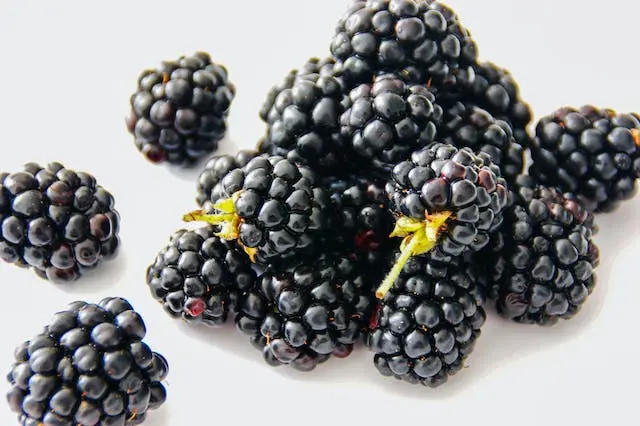 Blackberry Glycemic Index - Nutrition Fact & Health Benefits
