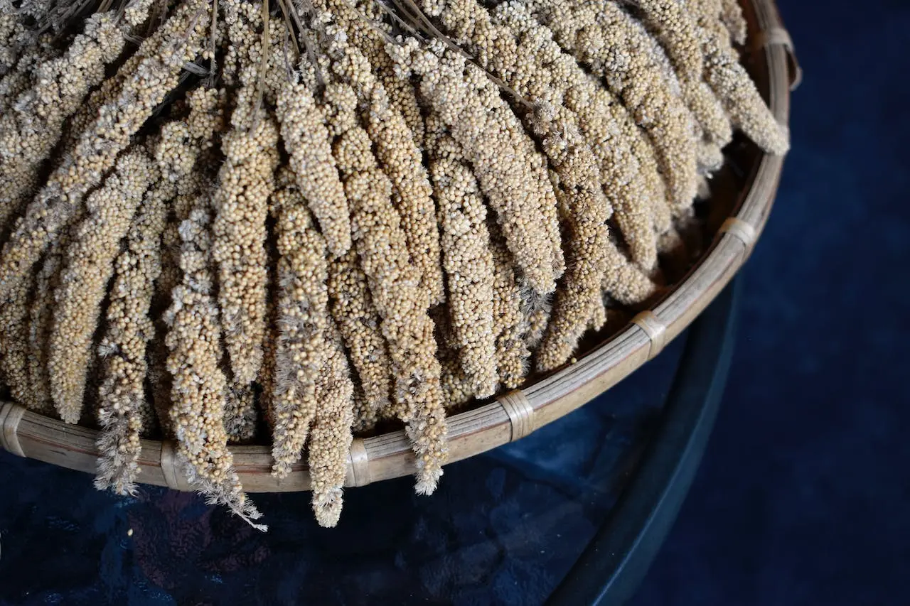 dry-millet