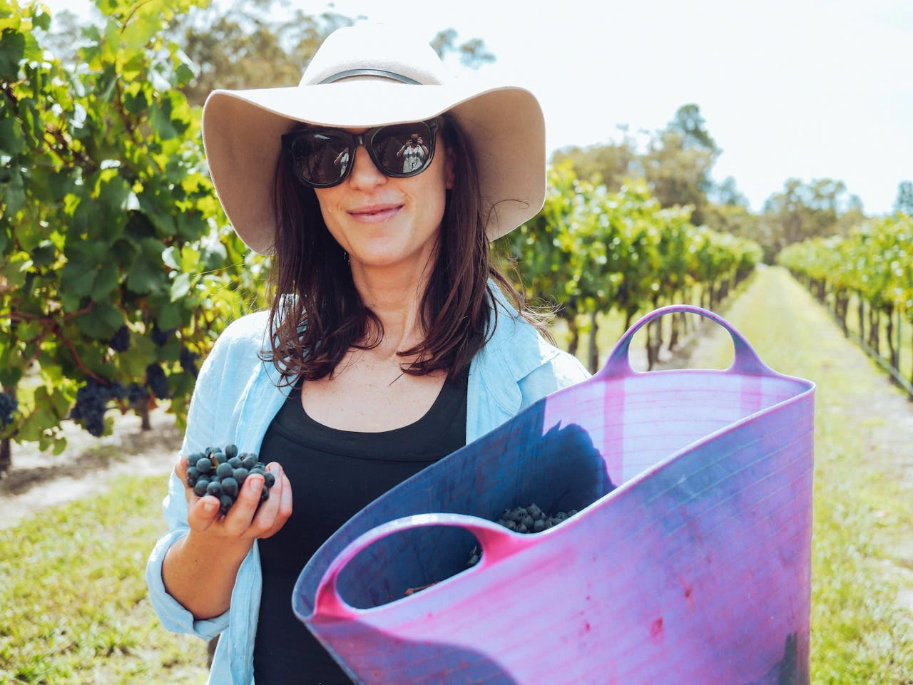 woman-wearing-a-hat-picking-up-grapes