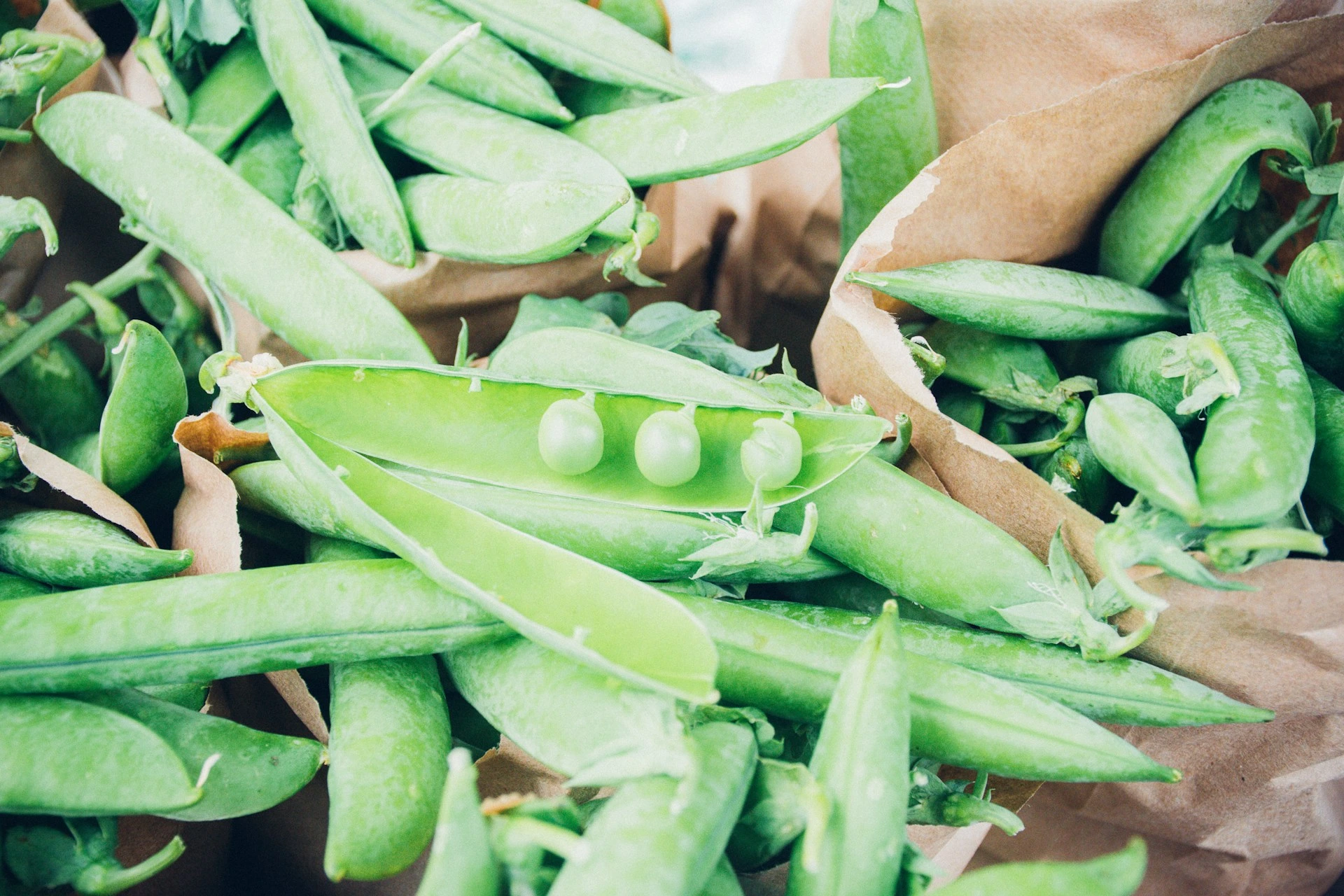 Podded peas