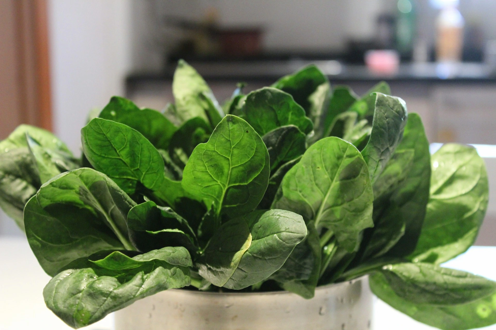 A bunch of spinach