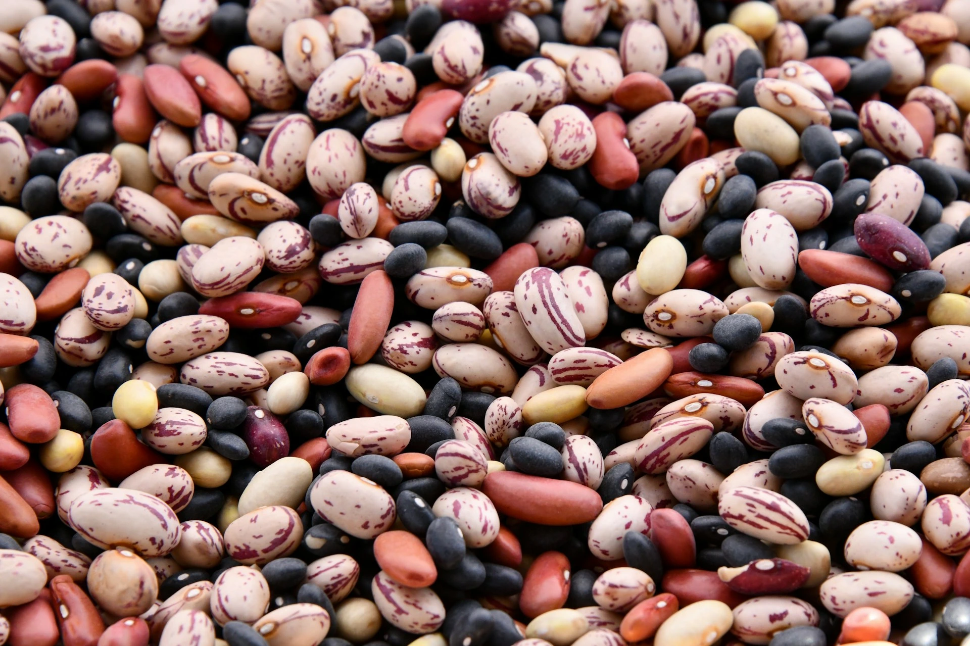 Bunch of beans