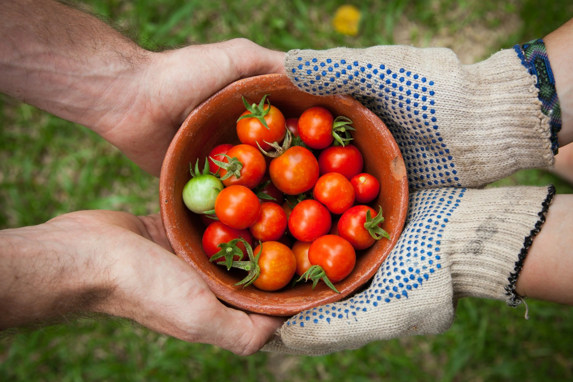 Cherry tomatoes