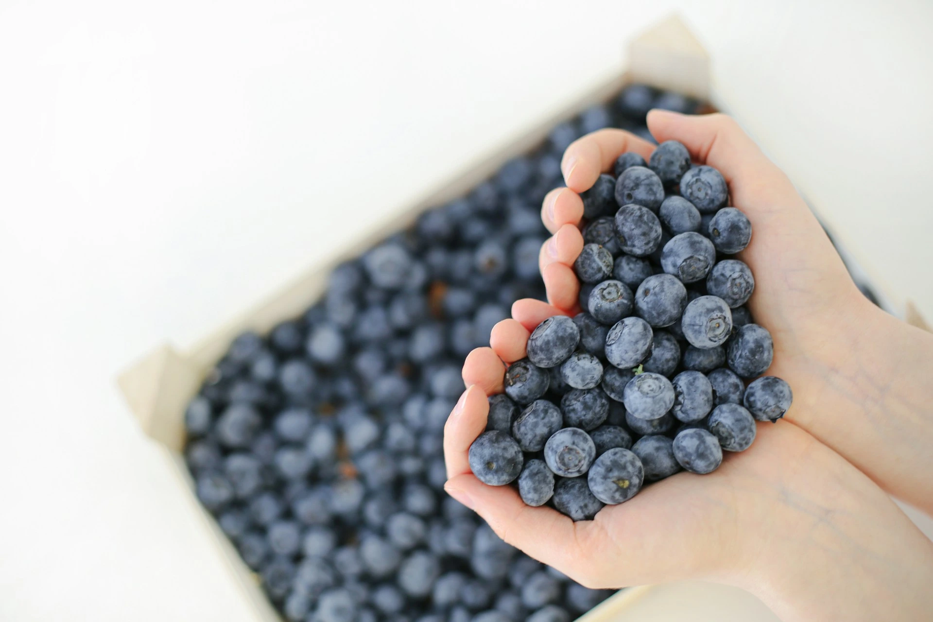 Handful of blueberries
