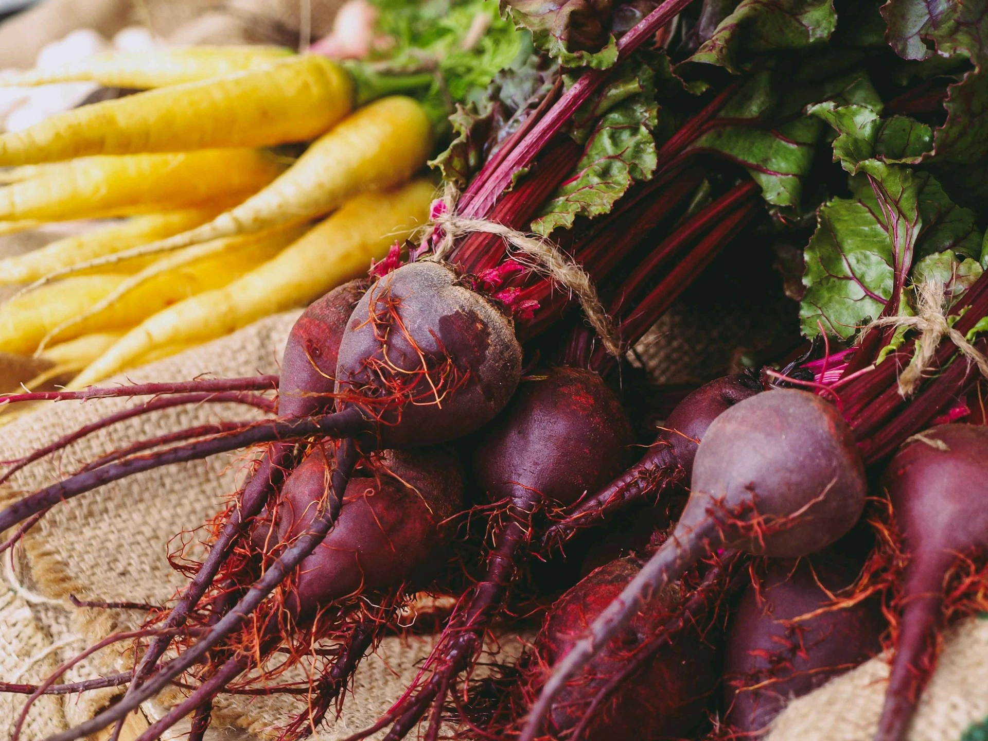 Bunch of beets