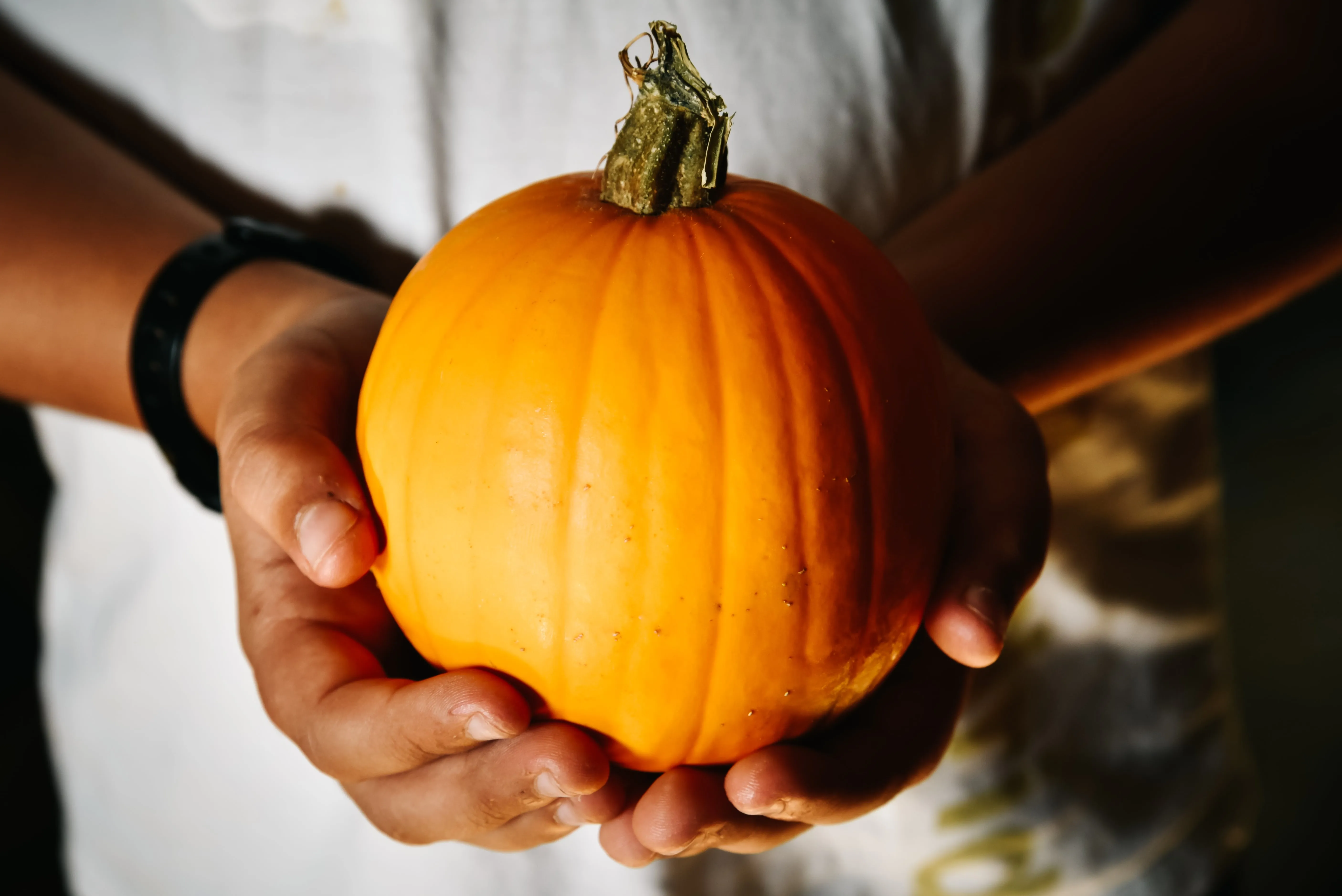 pumpkin