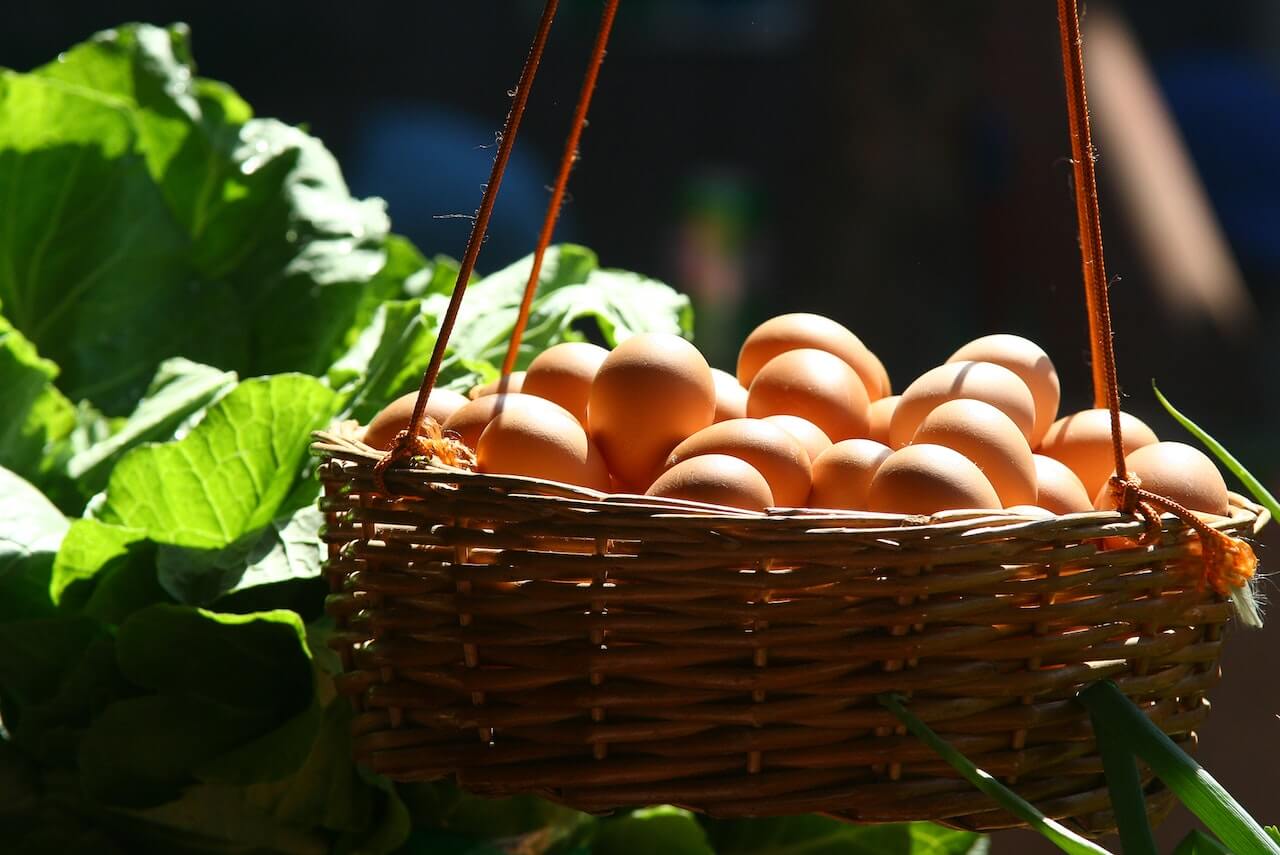 Fresh brown eggs in a woven basket surrounded by green leaves