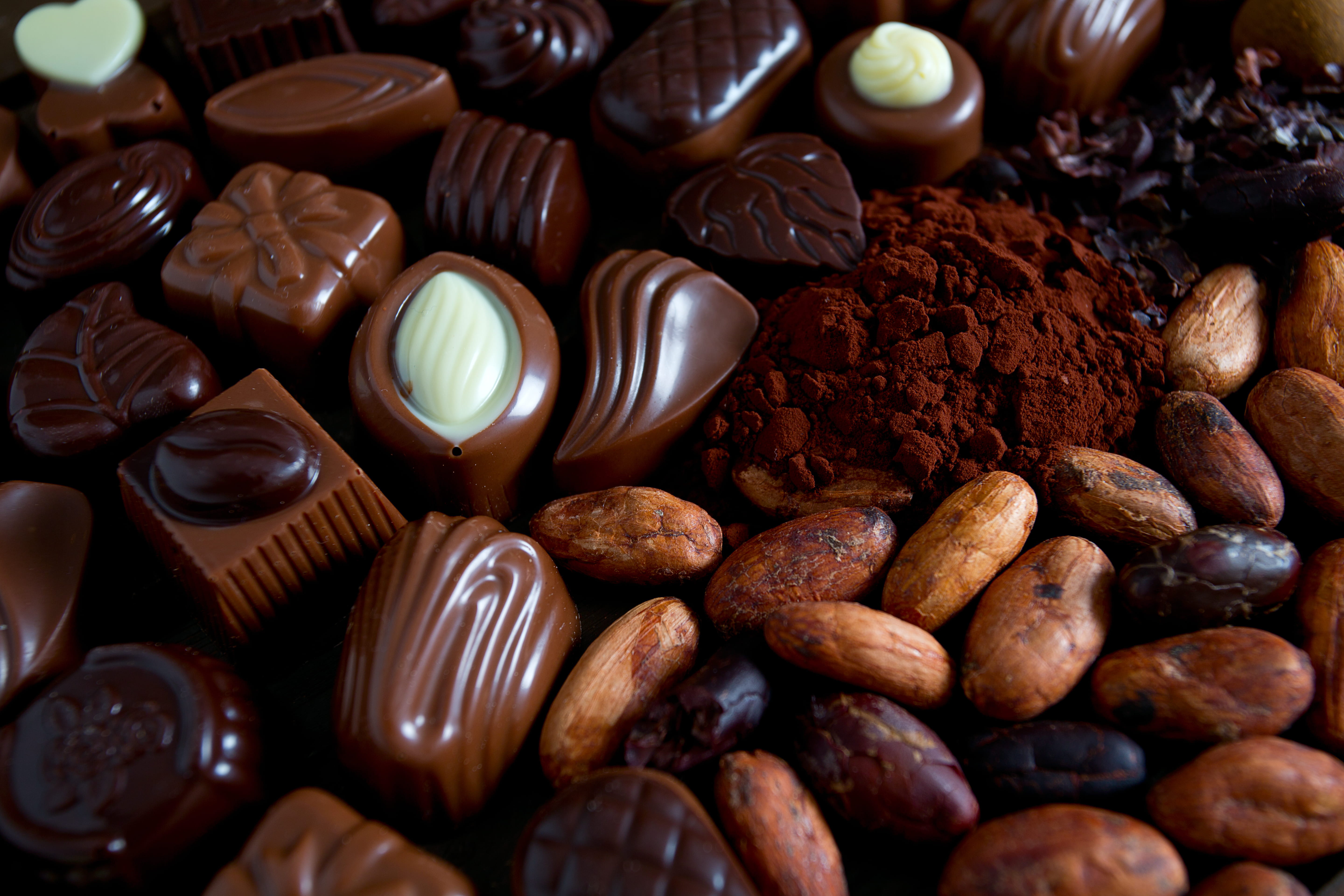 Assorted chocolate candies, cocoa powder, and cacao beans on dark background.