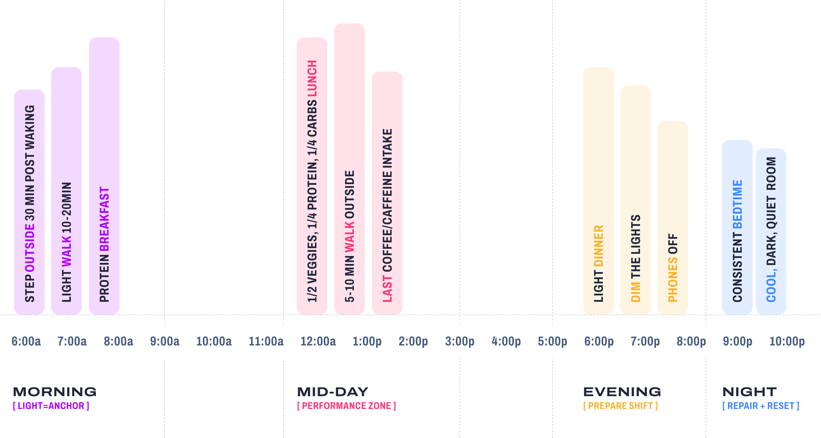 Daily timeline chart showing activities from 6am to 10pm with morning, mid-day, evening, and night phases.