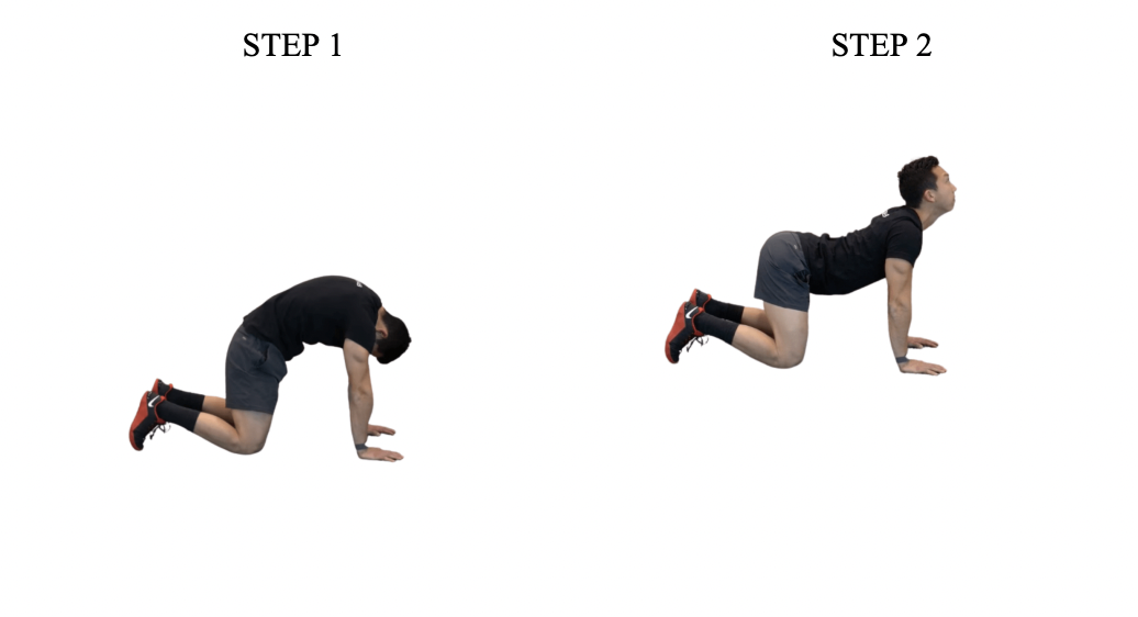 Man demonstrating mountain climber exercise in two steps on white background