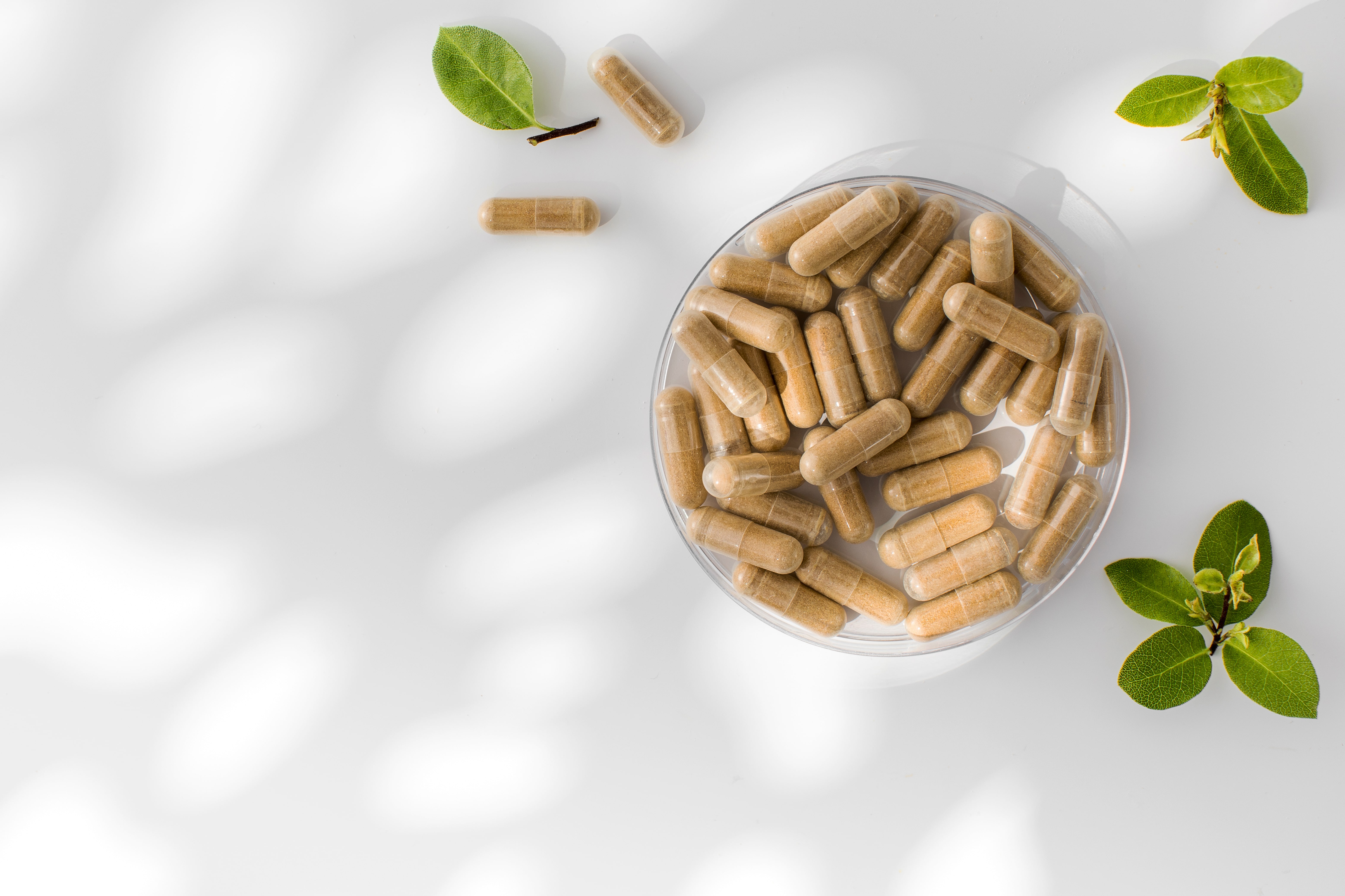 Glass bowl filled with herbal supplement capsules surrounded by fresh green leaves on white background.