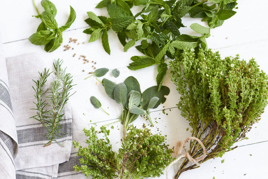 Fresh herbs and spices arranged on white background with kitchen towel