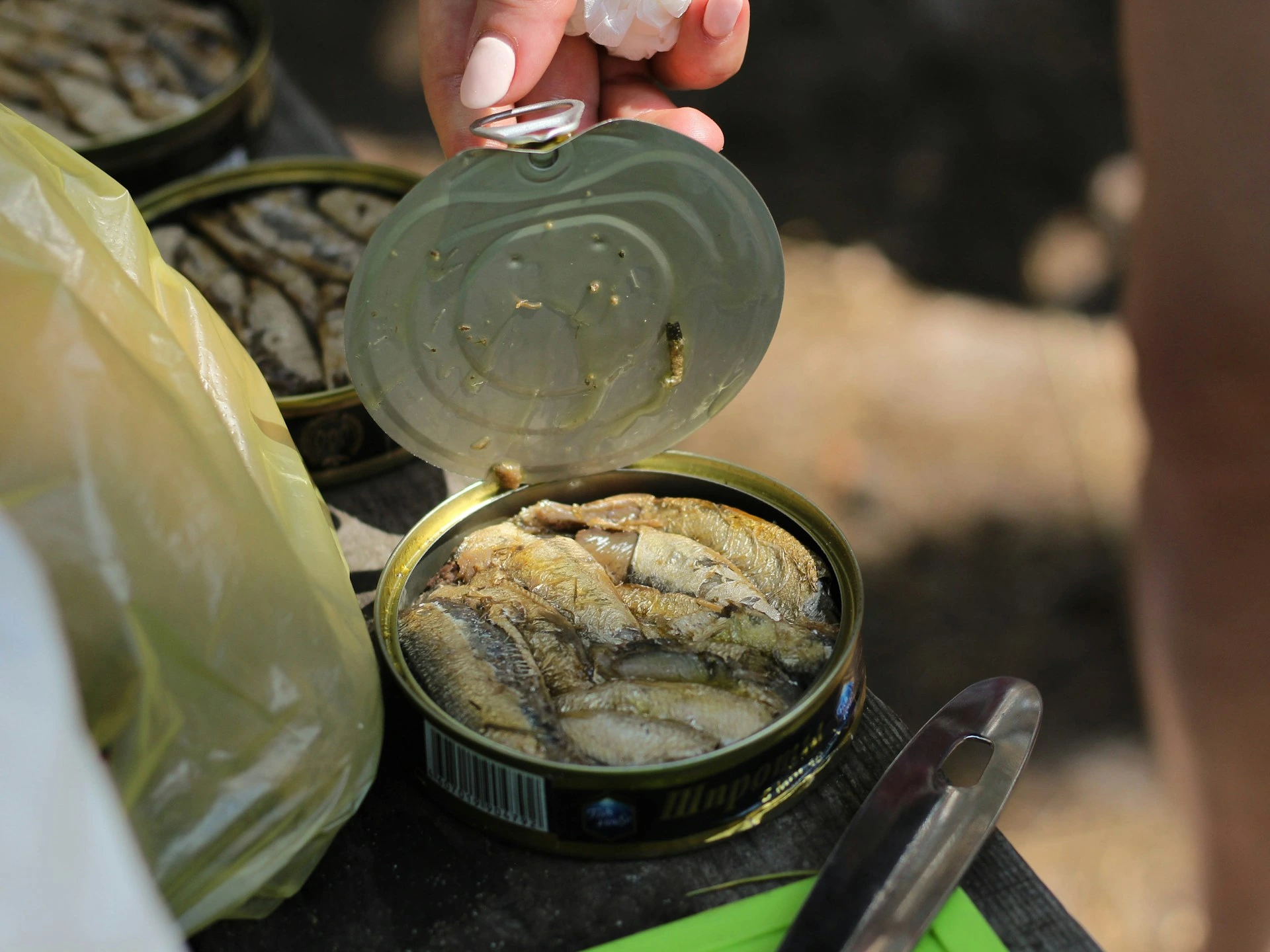 Opened tin can of sardines with fish inside, hand holding lid