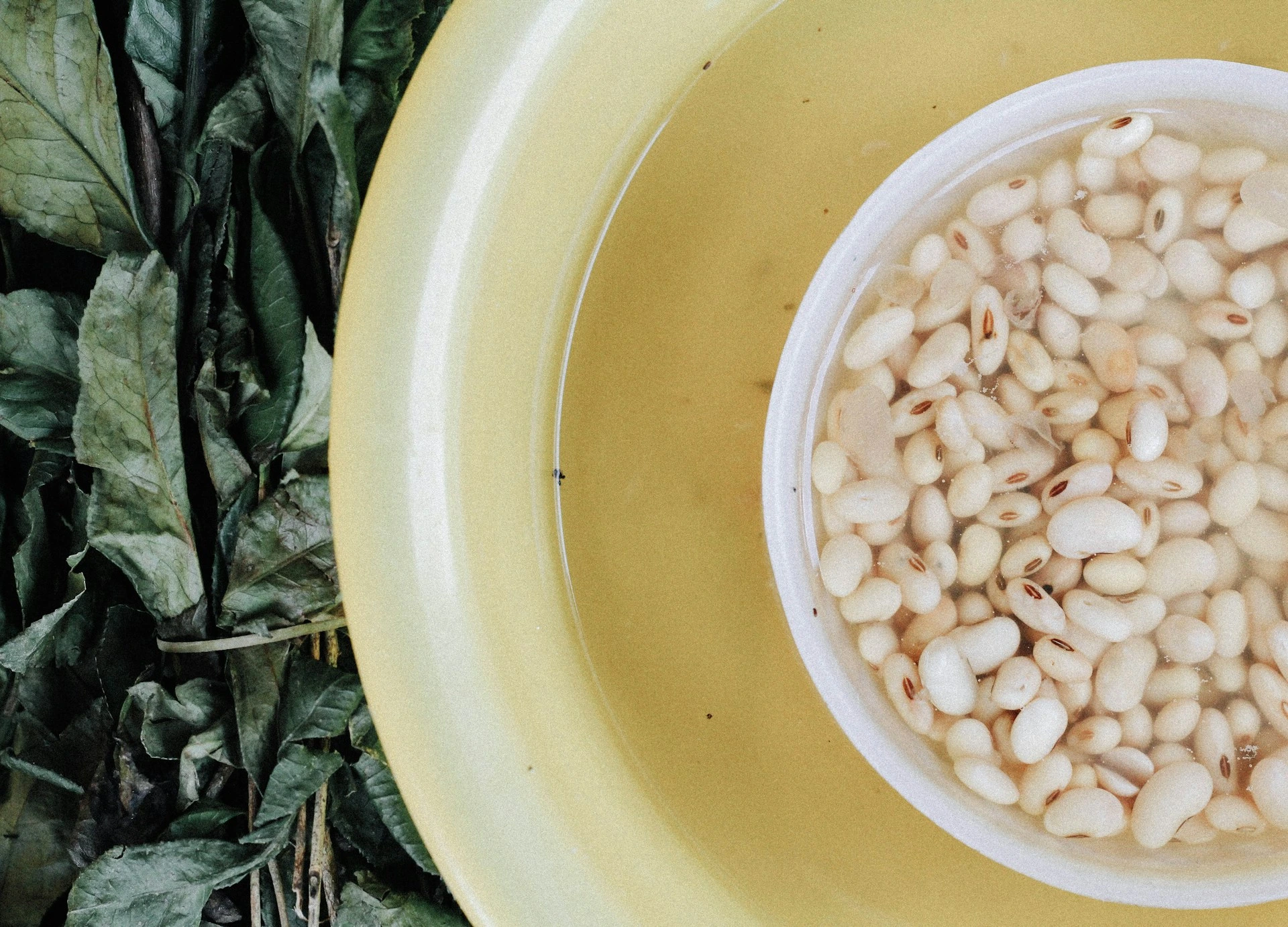 White beans in a white bowl on a yellow plate with green leaves