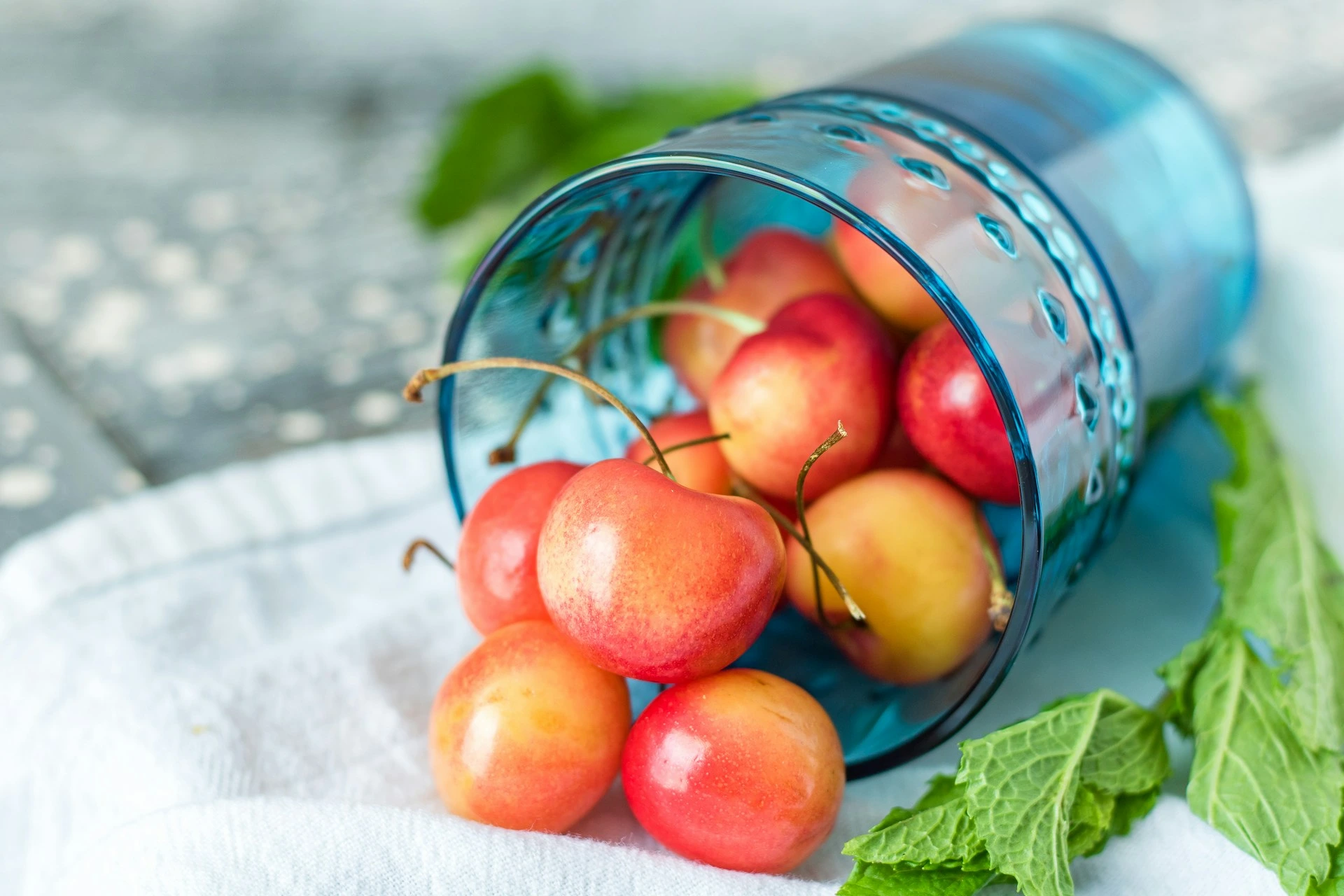 Red and yellow currants spilling from blue bucket with green leaves on white cloth