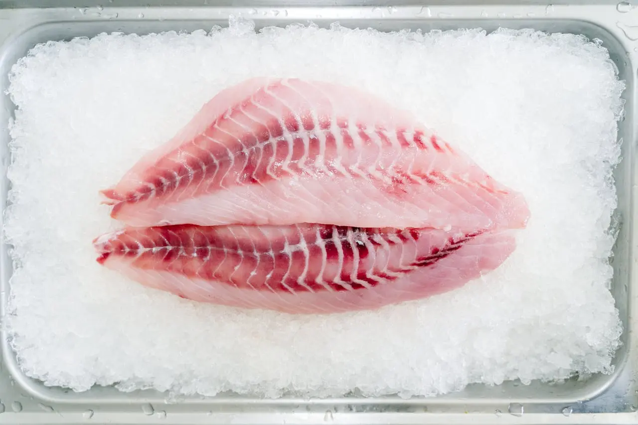 Fresh fish fillet on ice, showing delicate pink and white flesh
