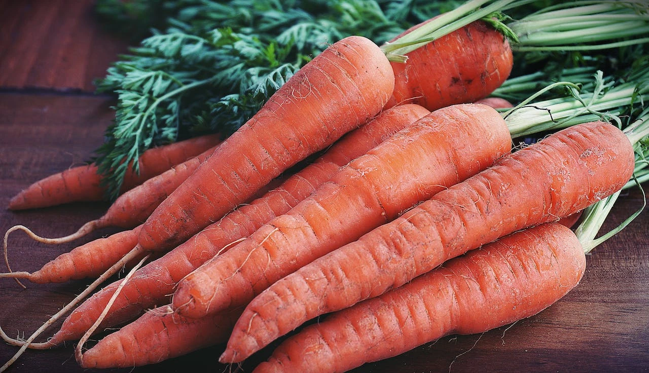 Fresh orange carrots with green leafy tops on wooden surface