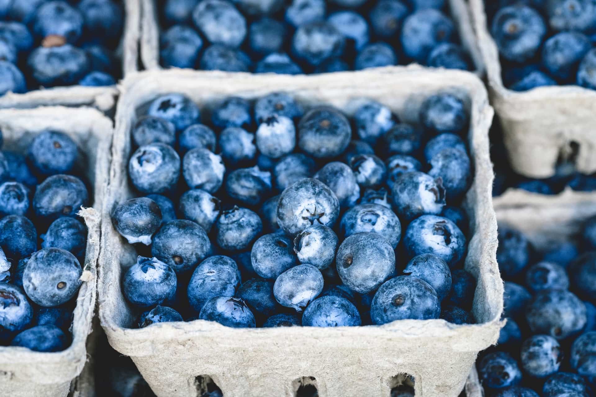 Fresh blueberries in paper containers, close-up view