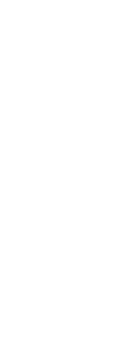 Blank white image with no visible content or details