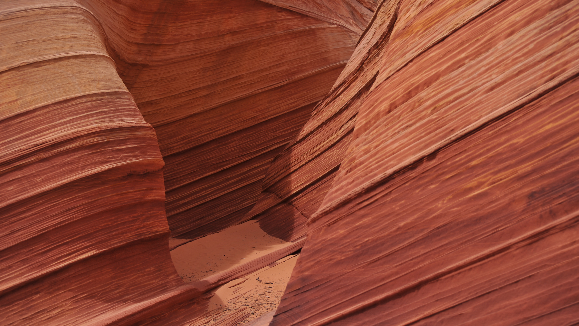 A wide canyon landscape, representing the visible gap between a company's revenue plan and market reality.