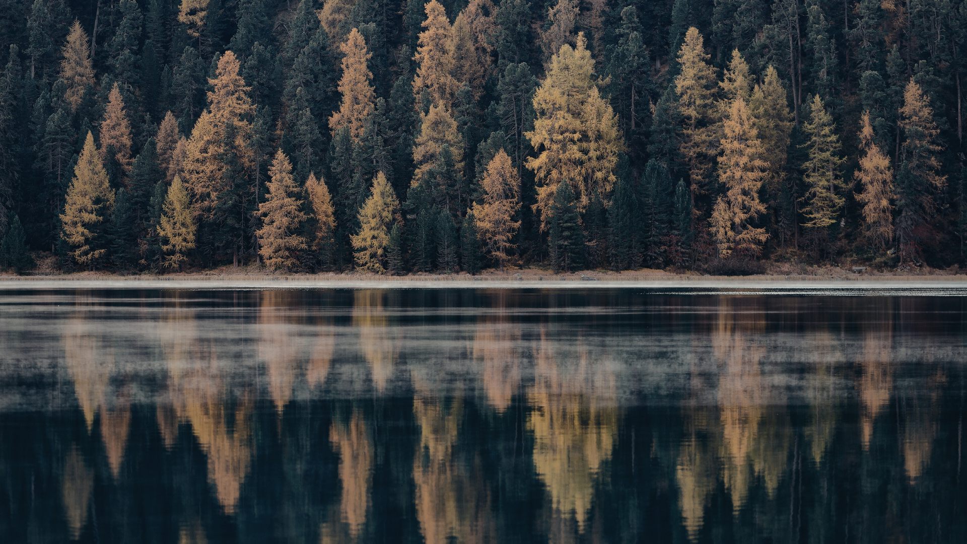 Still reflective water with subtle movement, representing market signals becoming clearer through reflection.
