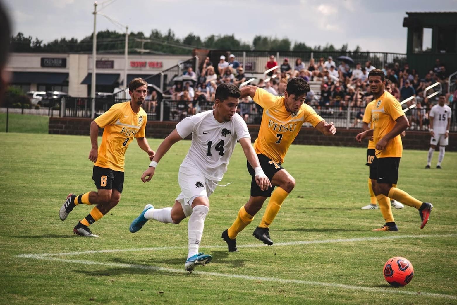 How Early Training and Athletic Growth Shape Careers