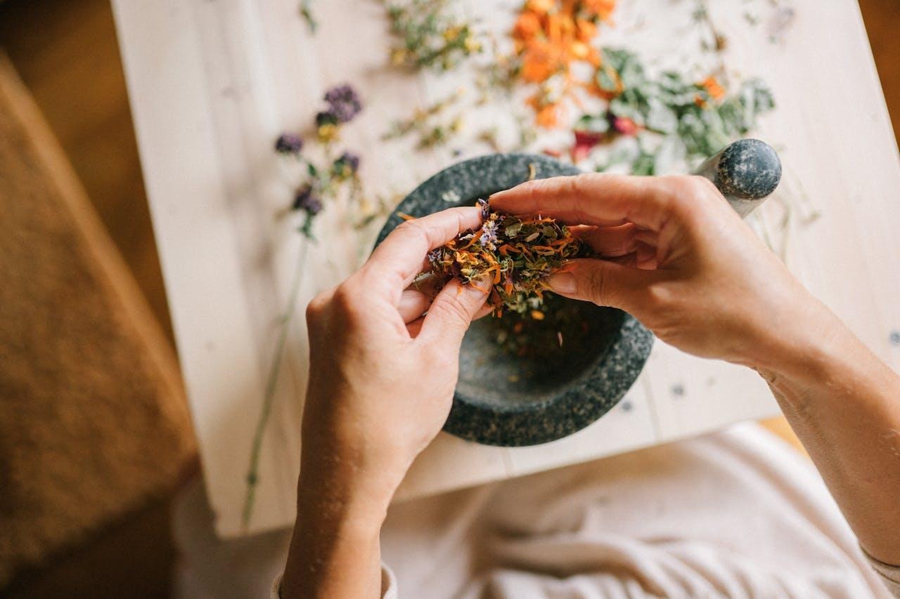 How Plant Medicine Supports Trauma Recovery and Healing