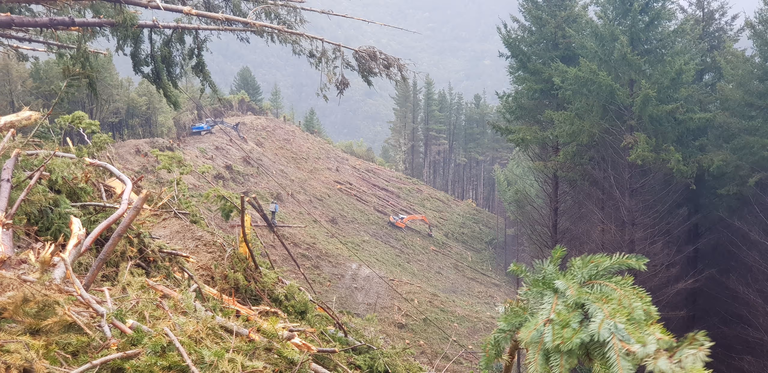 Cleared hillside with tree stumps and logging machines near remaining forest under misty mountain sky.