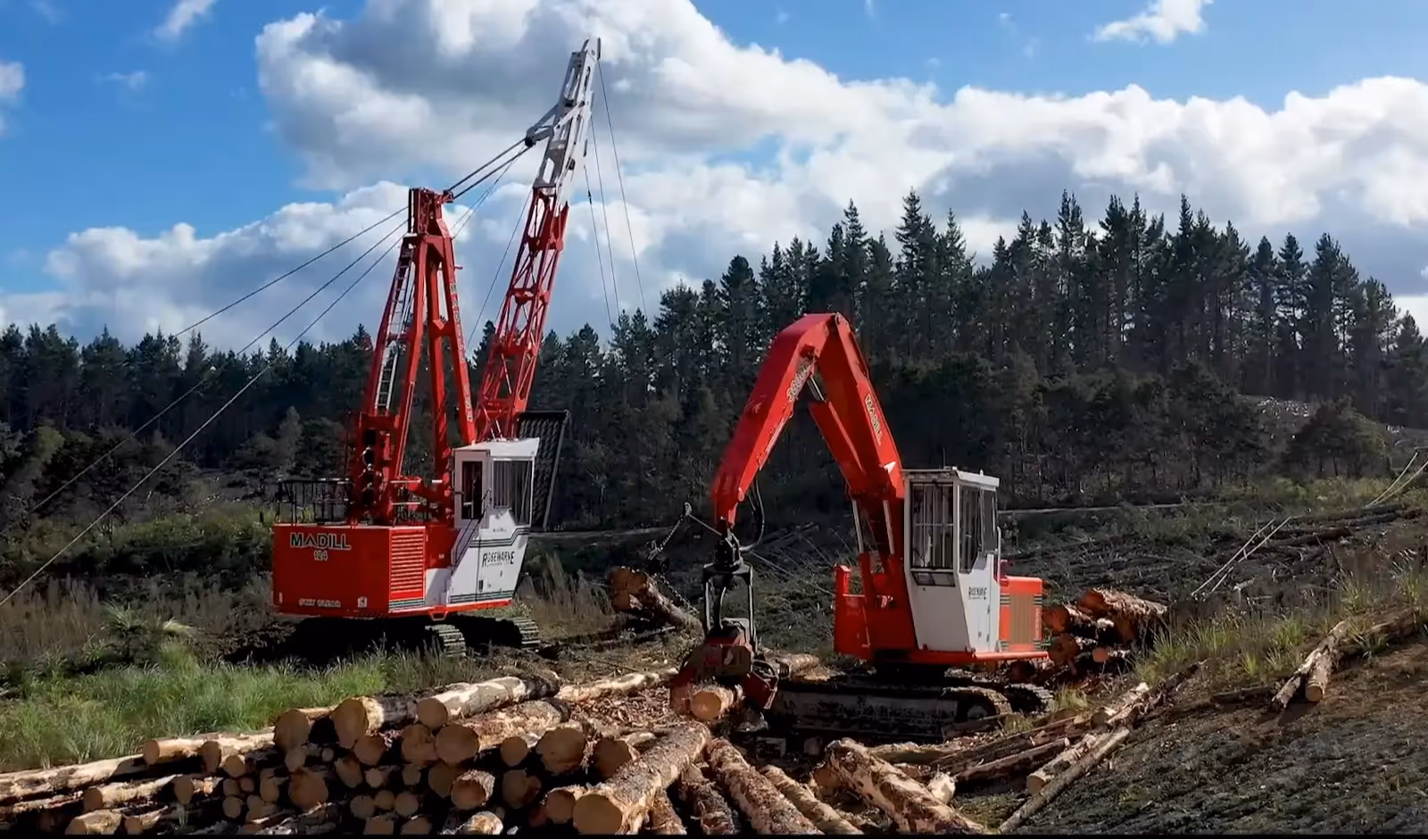 Red Madill forestry machines loading cut logs in a clearing near pine trees under a cloudy sky.