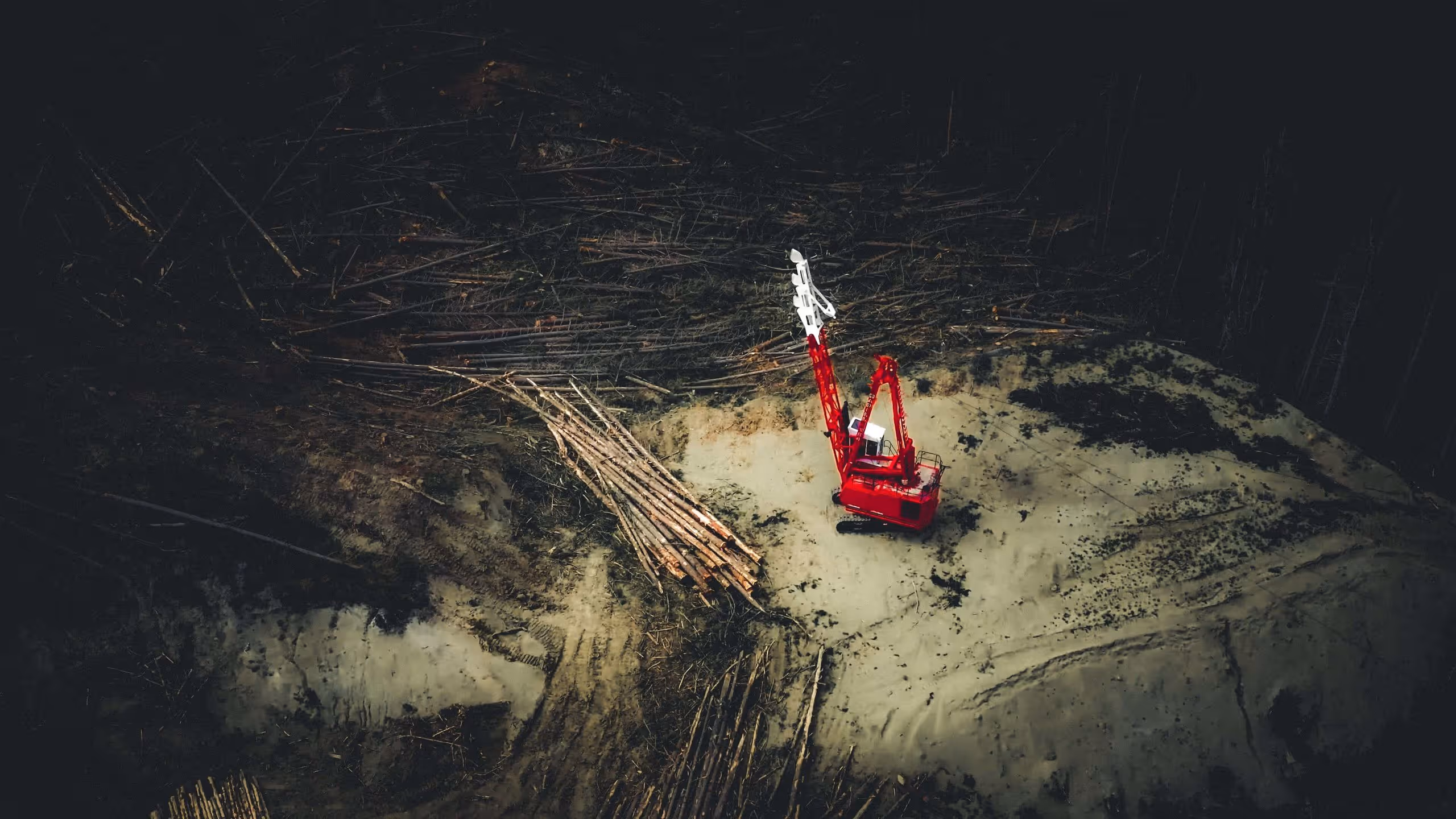 Red logging machine clearing and piling cut timber in a dark forest clearing.
