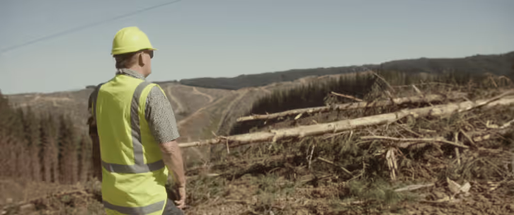 Worker in yellow safety vest and helmet overseeing a cleared logging area with tree debris.