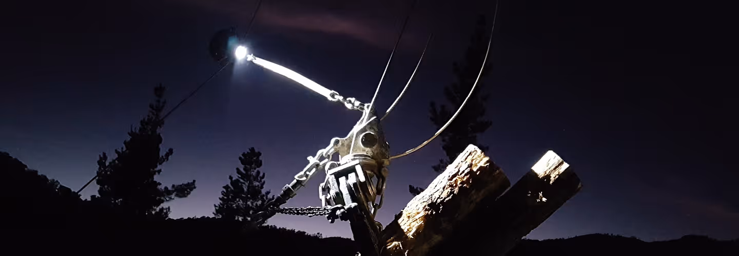 Metal sculpture of an insect holding wooden logs, lit against a dark night sky with silhouetted trees.