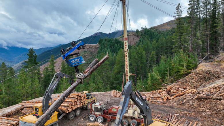 Logging machinery loading large tree logs onto a truck in a forested mountainous area.