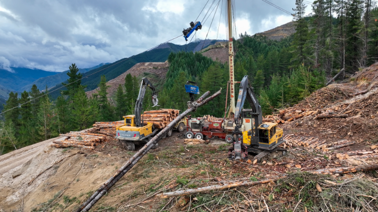 Logging machinery loading cut logs on a hillside with mountains and trees in the background.