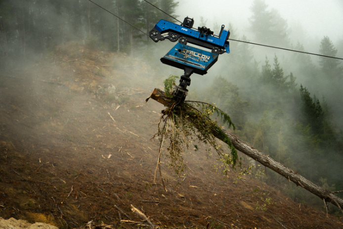 Blue mechanized device lifts uprooted tree with roots in misty forest clearing.