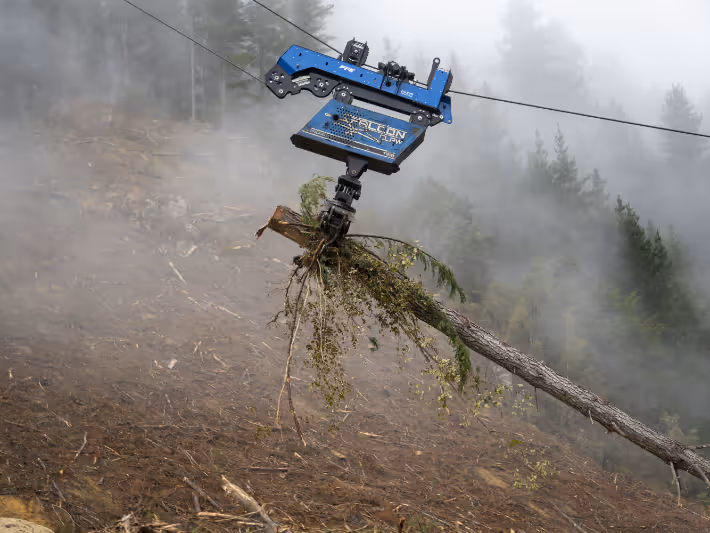 Blue mechanized forestry device lifting a tree trunk with branches on a foggy hillside.