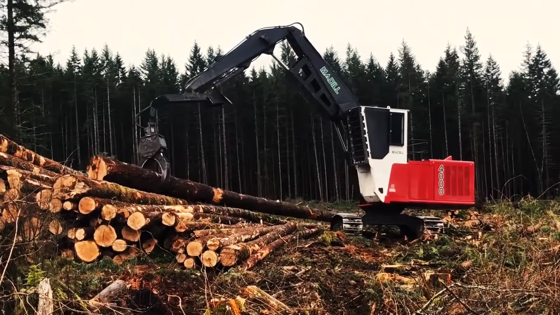 Madill 4000 logging machine lifting large logs in a forest clearing with stacked logs nearby.