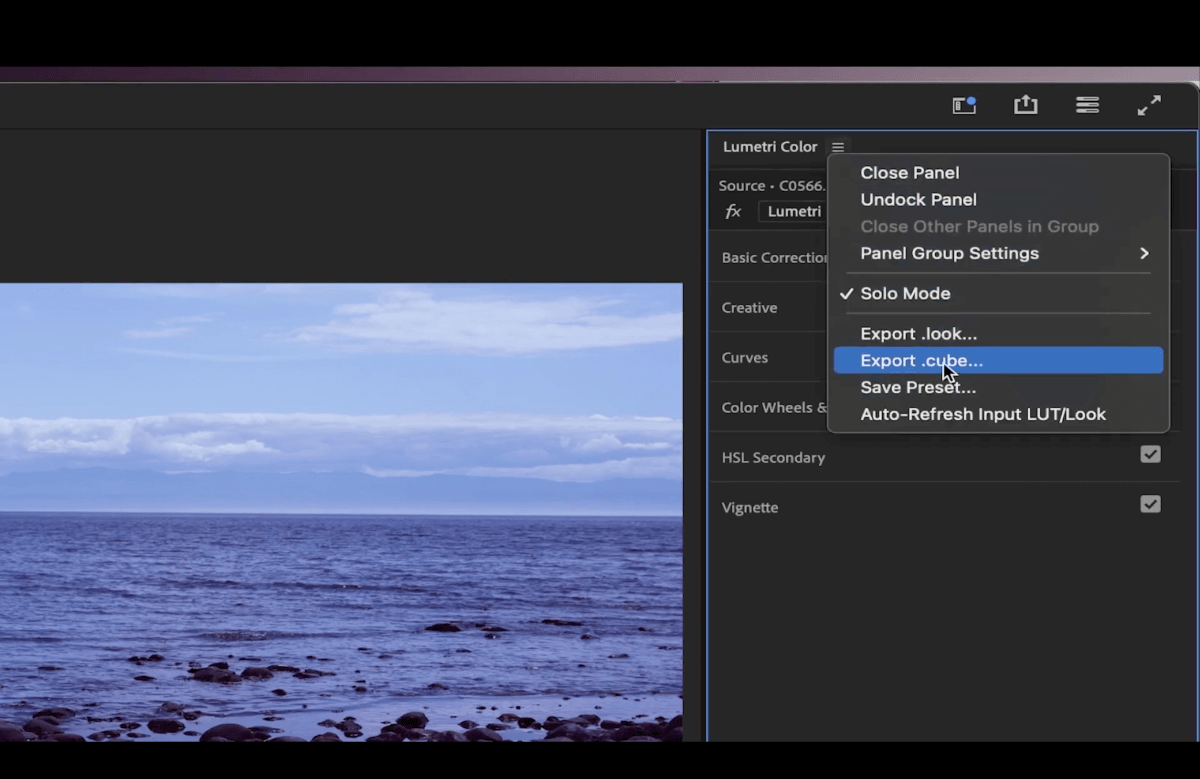 lumetri color export cube premiere pro