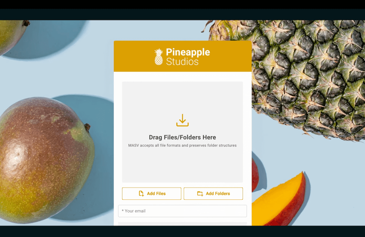 Custom-branded MASV portal for receiving files from clients. File transfer with Pineapple Studios branding.