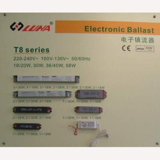 Company milestone, 2008