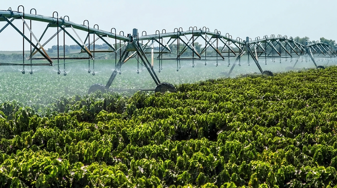 Coffee under irrigation in Brazil.