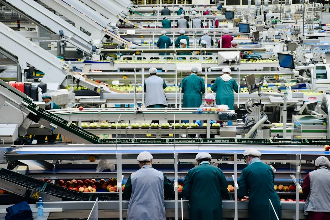 a group of men in a factory. Photo by Arno Senoner on Unsplash