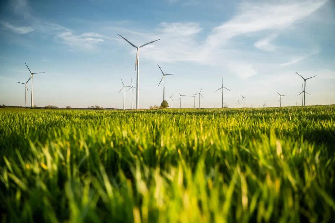 a field of green grass with wind turbines in the background. Photo by Moritz Lange on Unsplash