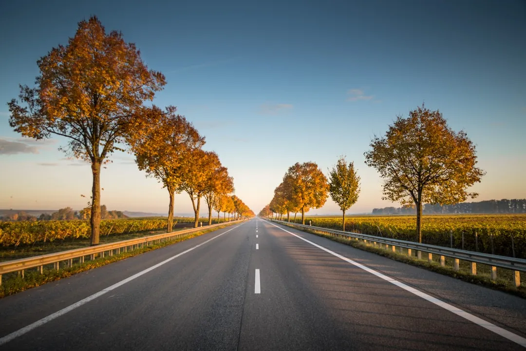 long straight road with trees on the side. Photo by Karsten Würth on Unsplash