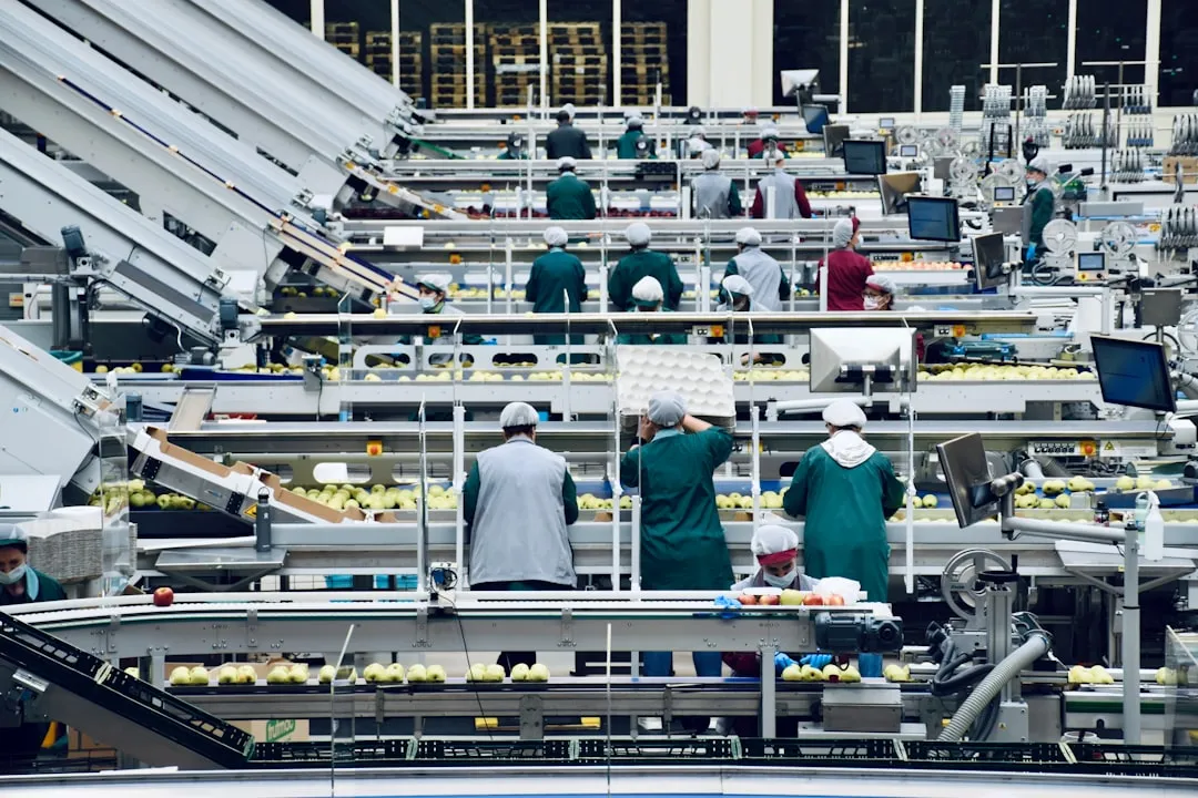 a group of people in a factory. Photo by Arno Senoner on Unsplash