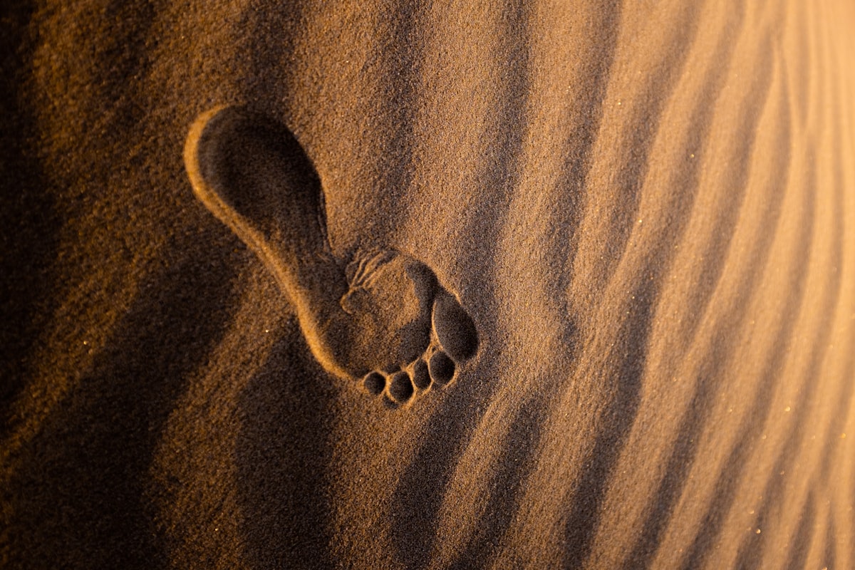 brown sand with heart shaped stones — Photo by Jeremy Bishop on Unsplash