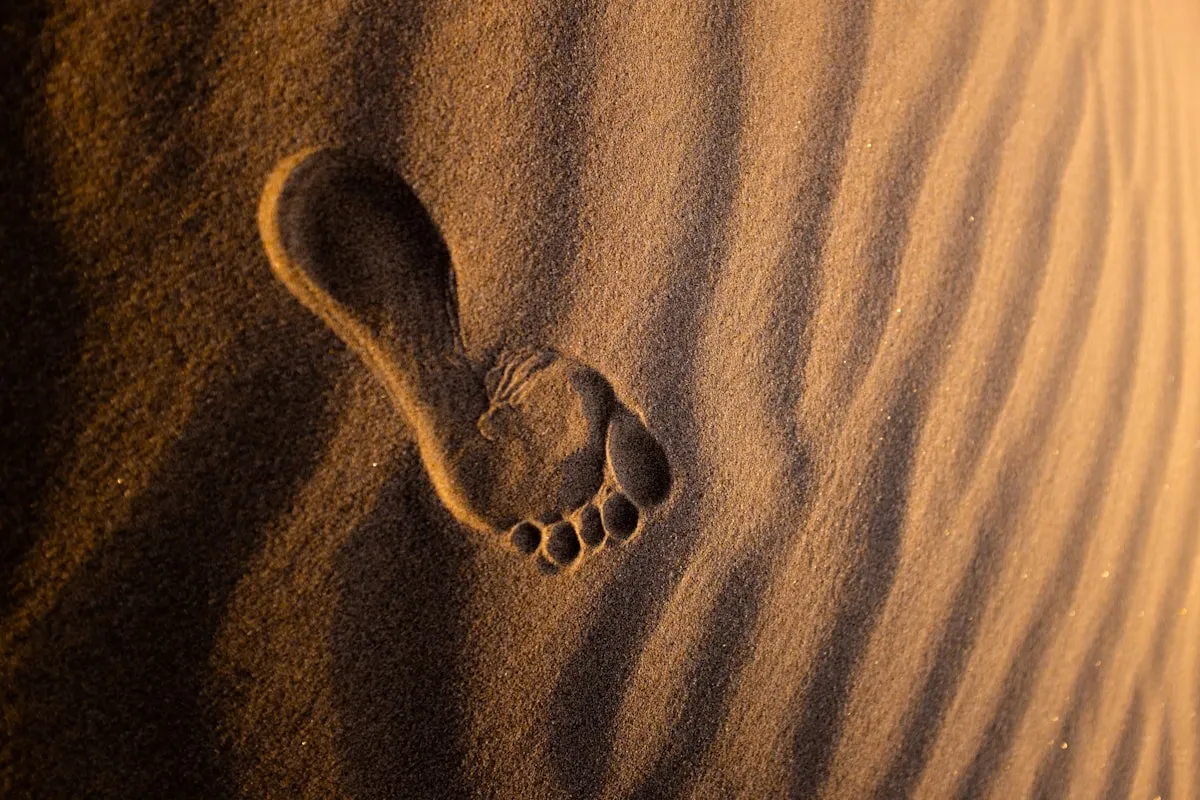 brown sand with heart shaped stones. Photo by Jeremy Bishop on Unsplash